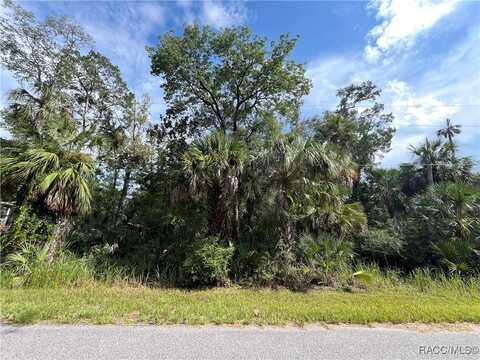 11091 W Townsend Lane, Homosassa, FL 34448