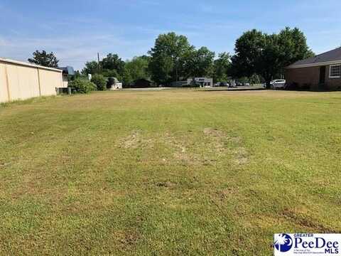Lot 8 Chesterfield HWY, Cheraw, SC 29520