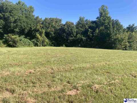 Weitus Road, Lake View, SC 29563