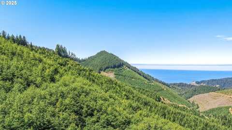 HWY 101, Nehalem, OR 97131