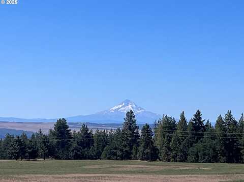 25 BUENA VISTA CT, Goldendale, WA 98620