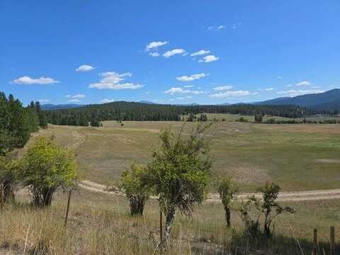 11xx Kitt Narcisse Rd, Colville, WA 99114