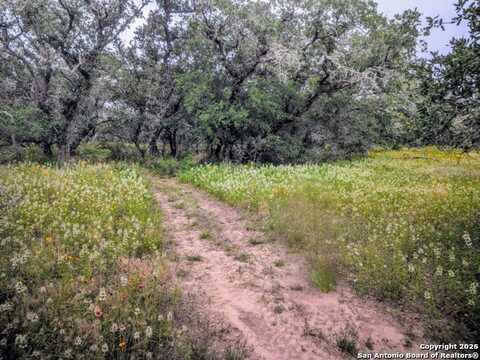 Tbd County Road 6813, Natalia, TX 78059