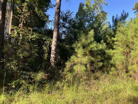 1060 Deer Trail lot: 56, Santee, SC 29142