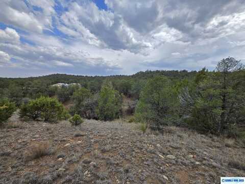 61 Artcher, Silver City, NM 88061