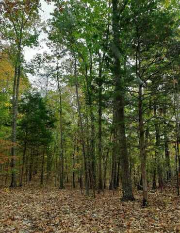 00 Co Rd 126, Waterloo, AL 35677