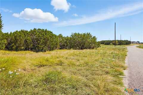186 Becky Lane, Bertram, TX 78605