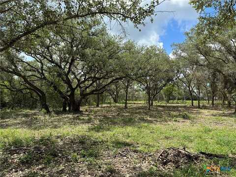 1776 FM 1351, Goliad, TX 77963