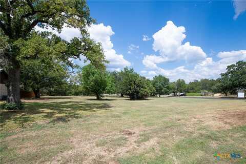 200 Canyon Wren Drive, Buda, TX 78610