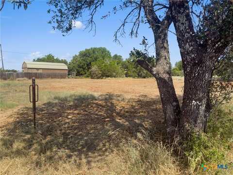 3515 Cactus Trail, Kingsland, TX 78639