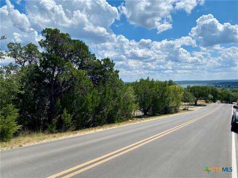 22800 N Cranes Mill Road, Canyon Lake, TX 78133