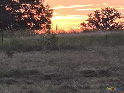 318 Grand Canyon Drive, Oglesby, TX 76561