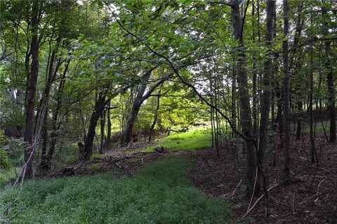02 Hanging Rock Forest Road, Danbury, NC 27016