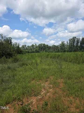 0 Dukes Lake Rd, Zebulon, NC 27597