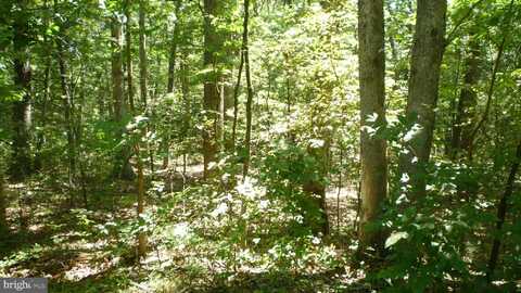 LOT 95 WILLOW LANE, MOUNT JACKSON, VA 22842