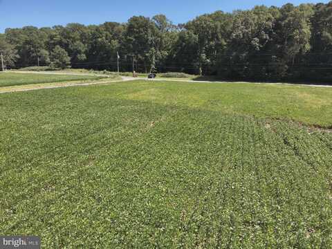 RT 12, SNOW HILL, MD 21863