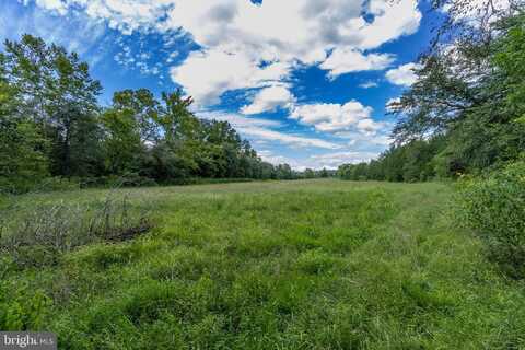 OAK SHADE, JEFFERSONTON, VA 22724