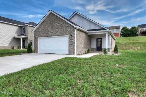 516 Catalina Court, Jonesborough, TN 37659