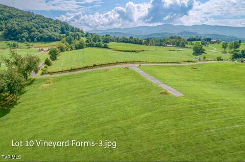 Lot 10 Dry Hill Road, Butler, TN 37640