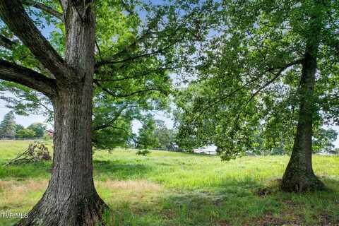 0 Colonade Drive, Abingdon, VA 24210