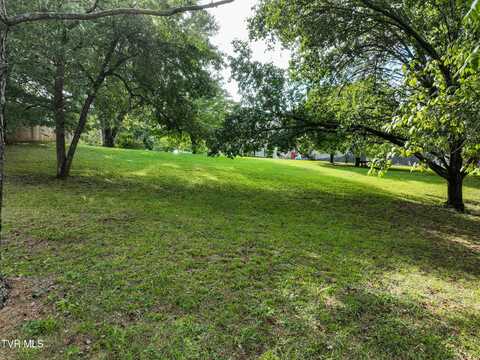 807 Sherbrooke Court, Mount Carmel, TN 37645