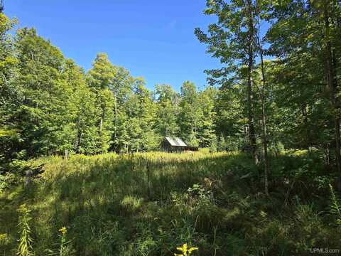 16454 Blue, Nisula, MI 49952