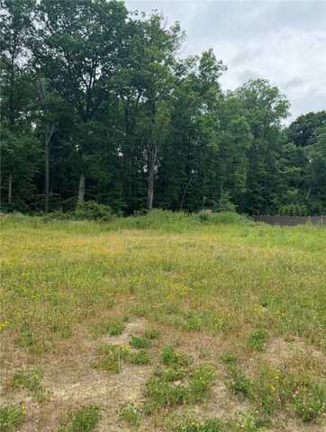 (lot 106) 1010 Goldeneye Drive, Marshall, PA 15005
