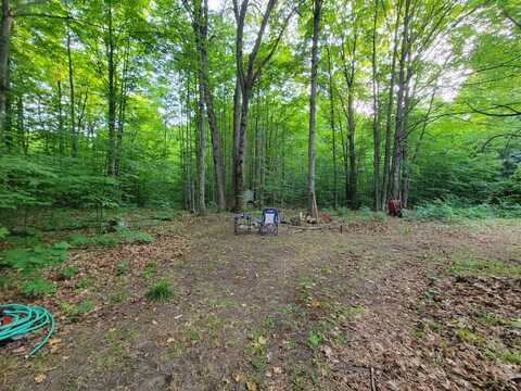 5 Acres N Valley Road, Frederic, MI 49733