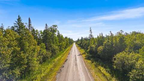 V/L 38.46A E Gill Road, Carp Lake, MI 49718
