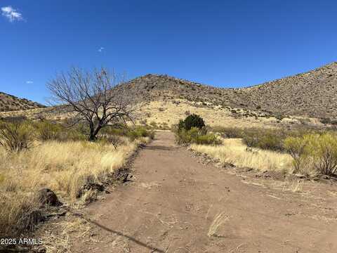 Tbd Carr Canyon Rd --, Hereford, AZ 85615