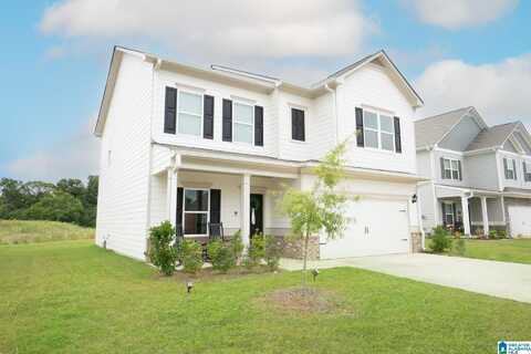 5155 PINTAIL DRIVE, HARPERSVILLE, AL 35078