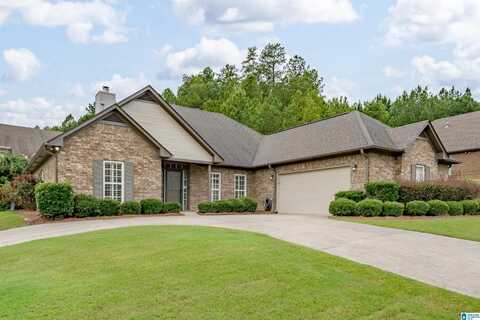 451 CHESSER PLANTATION LANE, CHELSEA, AL 35043