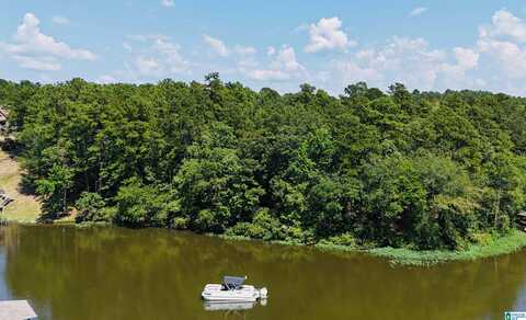 STILLWATERS TRAIL, SYLACAUGA, AL 35151