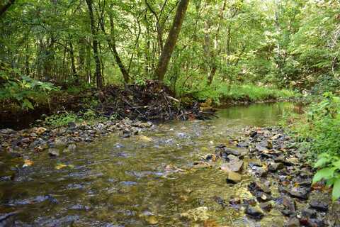 0000 Beech Creek Road, Norman, AR 71960