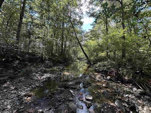 TBD Waters Lane, Mena, AR 71953