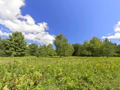 15 ACRES WALLIN ROAD, THOMPSONVILLE, MI 49683