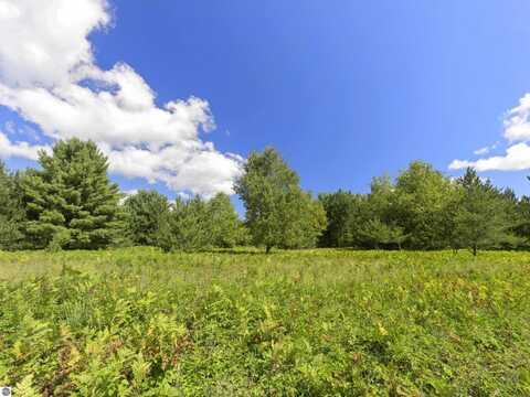 15 ACRES WALLIN ROAD C, THOMPSONVILLE, MI 49683