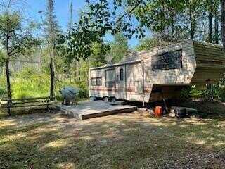 V/L BLUE SPRINGS TRAIL, FALMOUTH, MI 49632