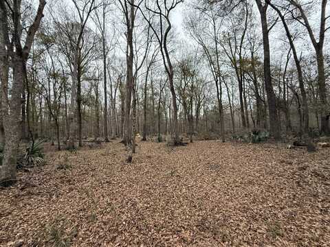 000 Old Hwy 52, Moncks Corner, SC 29461