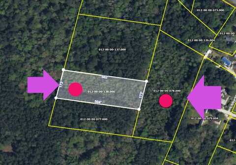0 Johnsville Road, Smoaks, SC 29481