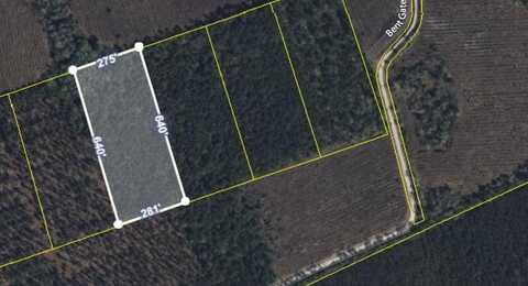 000 Can City Road, Smoaks, SC 29481