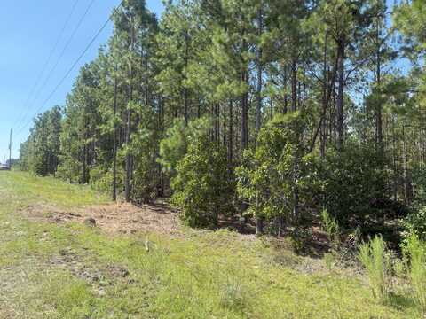 Kf 5 Keys Lane, Westville, SC 29175