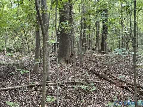 350 N Youngs Road, Petersburg, VA 23803