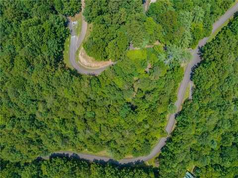 4.7AC Mountain Creek Hollow Drive, Talking Rock, GA 30175