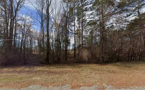 S Wilkinson Drive, St Pauls, NC 28384