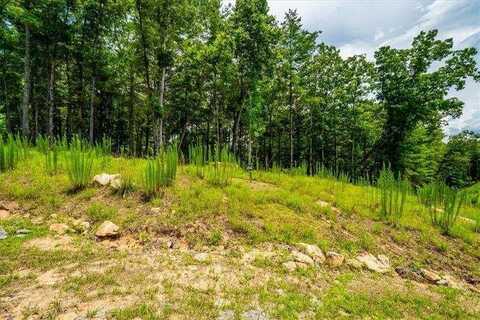 0 Ridge Drive, Morganton, GA 30560
