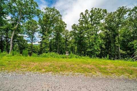 0 Ridge Drive, Morganton, GA 30560