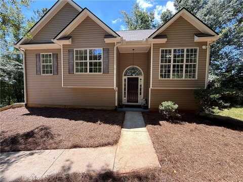 25 Birch Ridge Court, Newnan, GA 30265