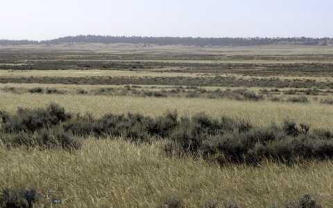 Lindstrom Road, Shepherd, MT 59079