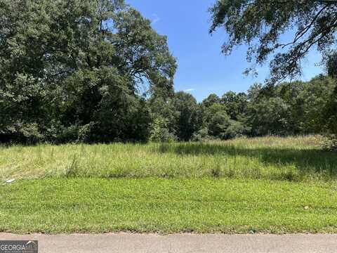 0 Carter, Greenville, GA 30222